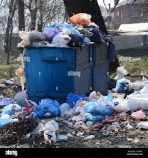 Professional Junk Removal Services in Benson, AZ