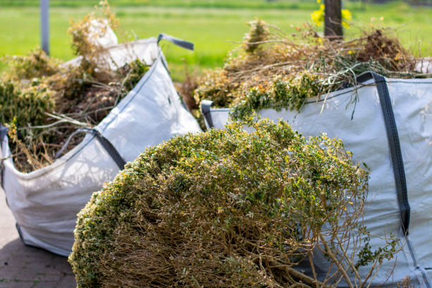 Best Property Management Cleanouts  in Benson, AZ